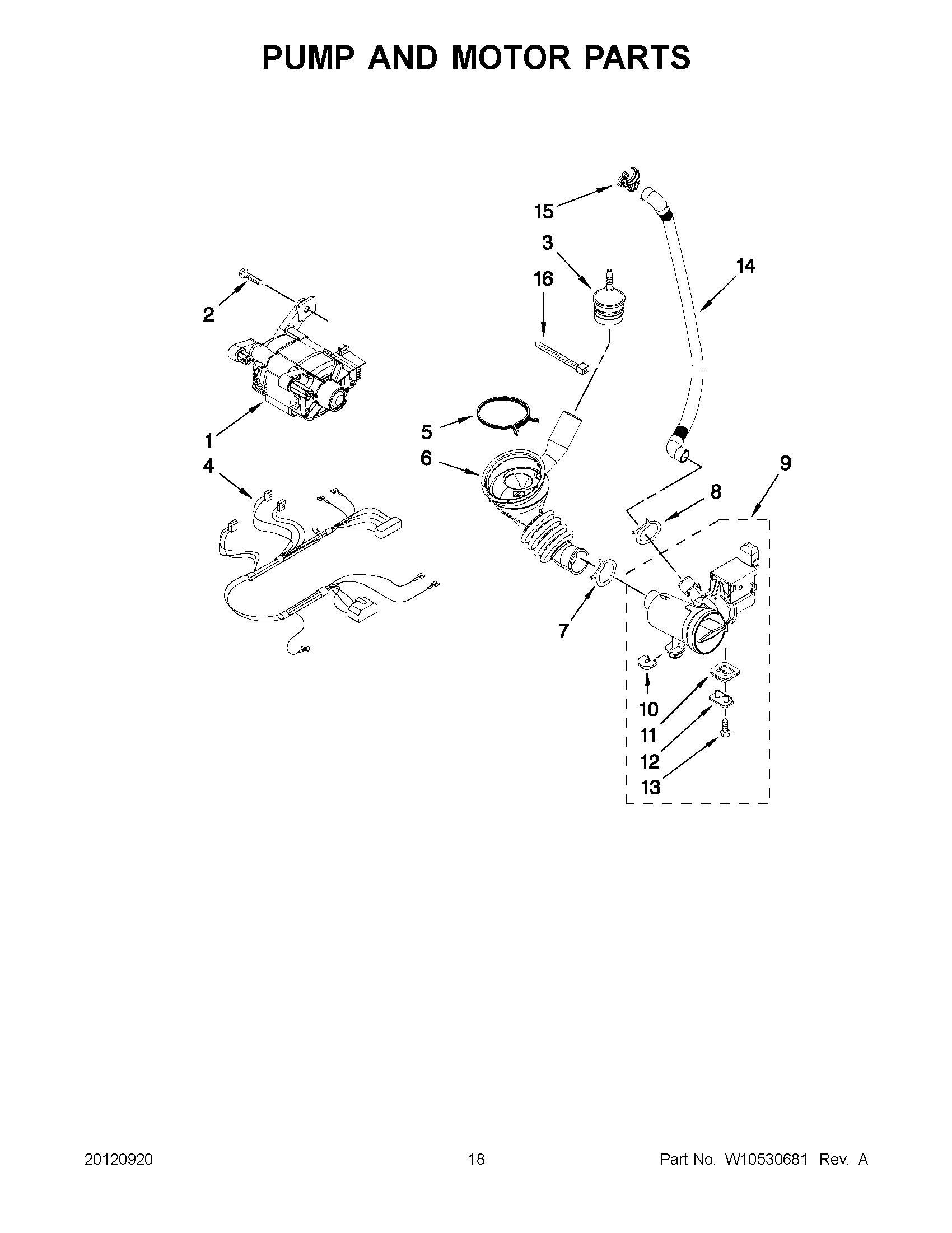 09 - PUMP AND MOTOR PARTS