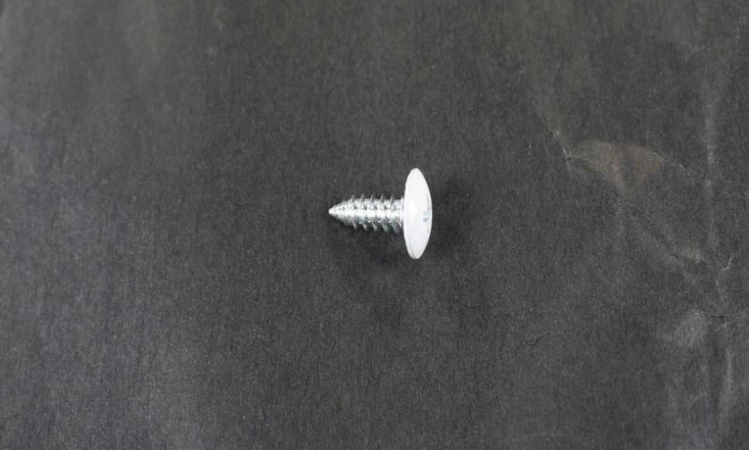 3J05696W LG Customized Screw