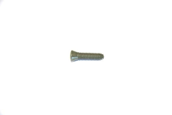 WR01X10631 GE Screw