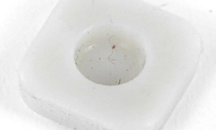 1536a81d-bce4-434c-8cfc-6ba46ef8fb64_small main product photo