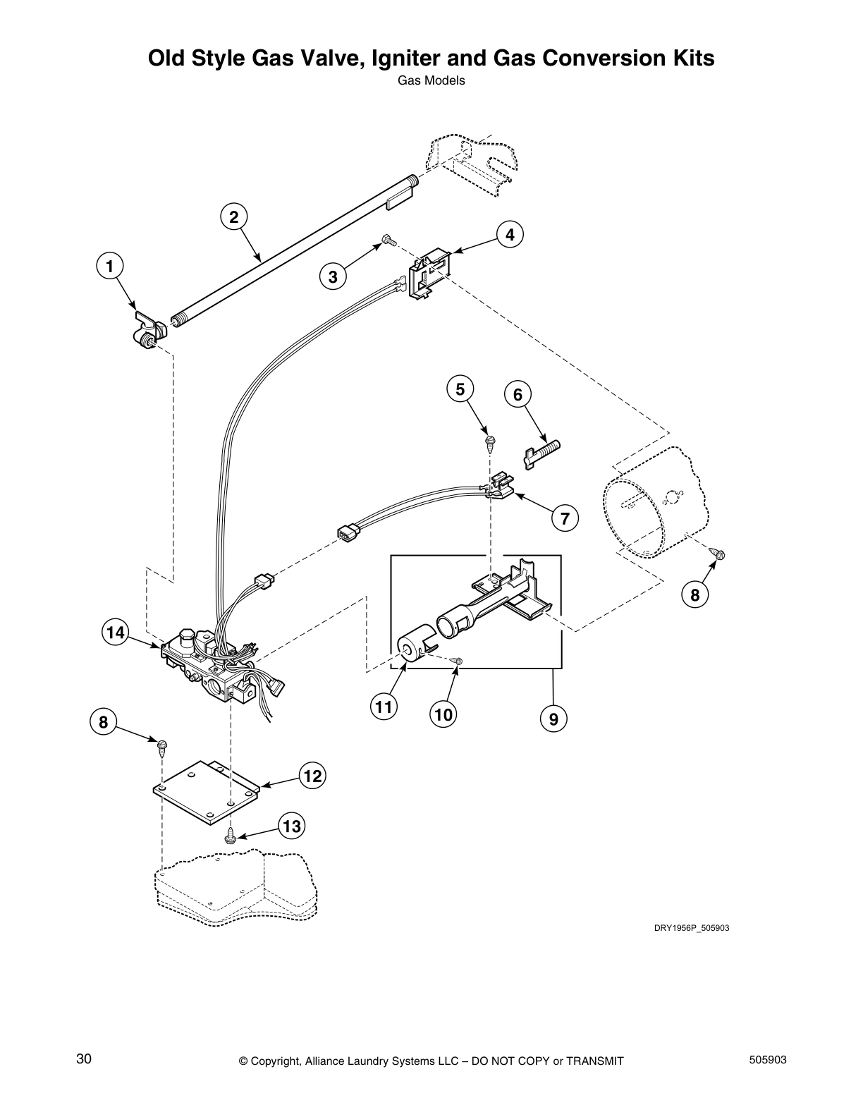 Old Style Gas Valve, Igniter and Gas Conversion Kits