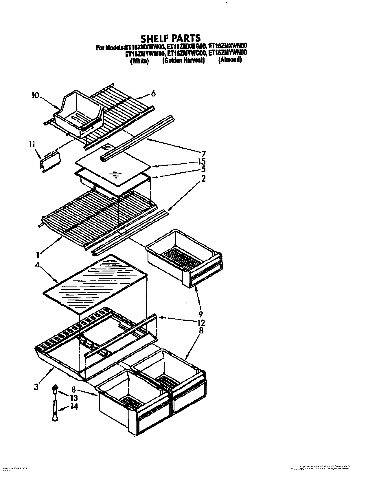 05 - SHELF