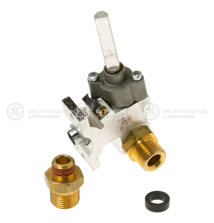 WB21X22042 GE Valve Kit
