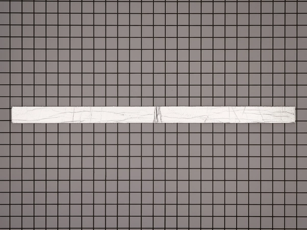 W11025151