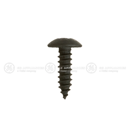 WE2M200 GE Ground Screw