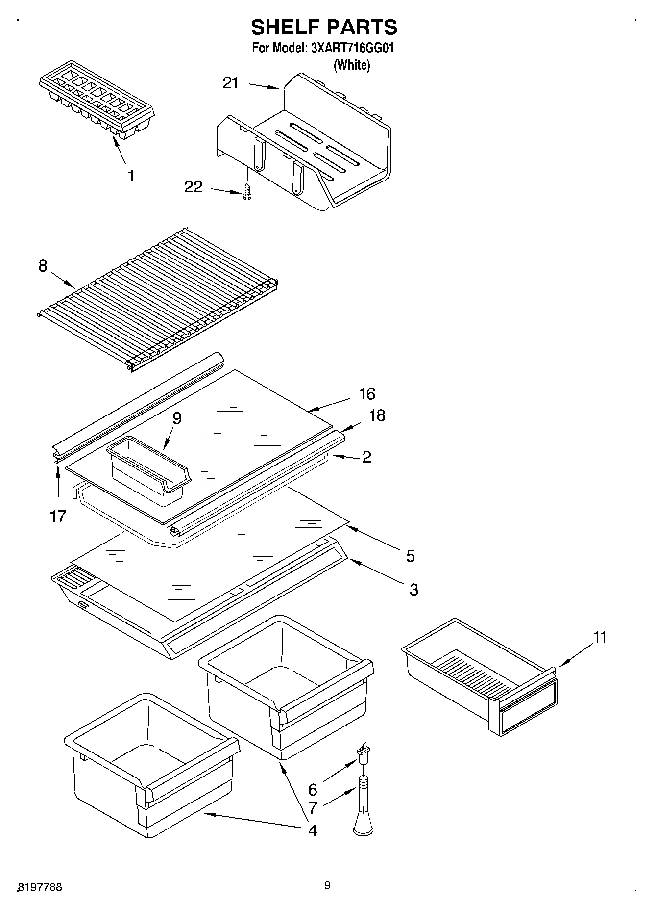 05 - SHELF