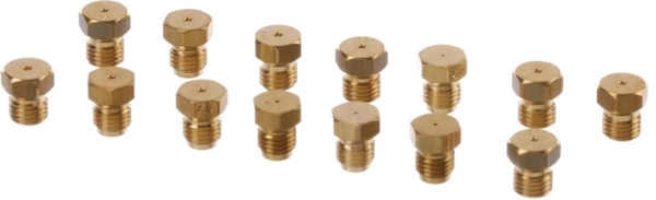 10015684 Bosch Oven Liquid Gas Nozzle Set