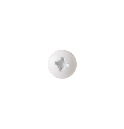 WE2M225 GE Screw White #10-16 3/4
