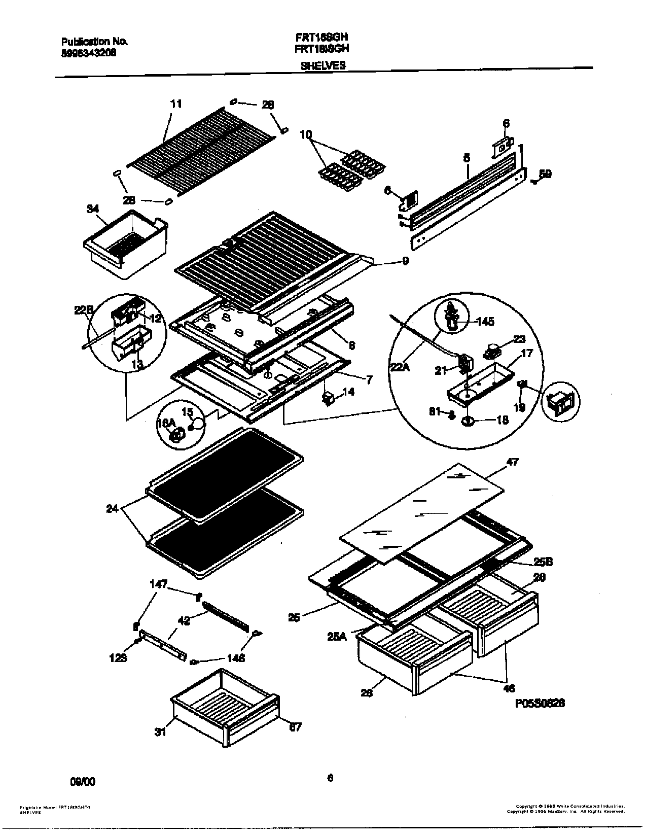 04 - SHELVES