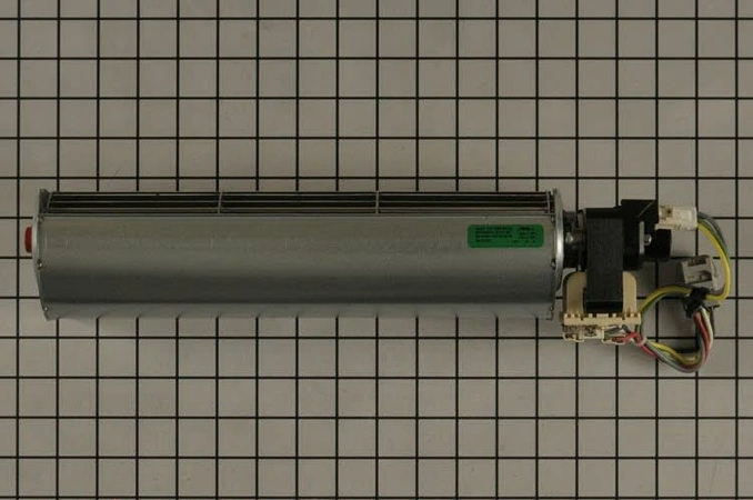 W11598119