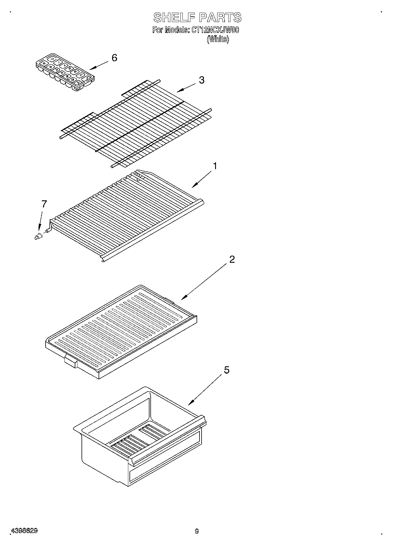 06 - SHELF