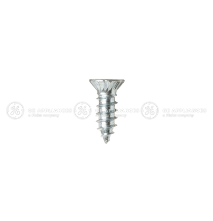WE2M170 GE Screw #8