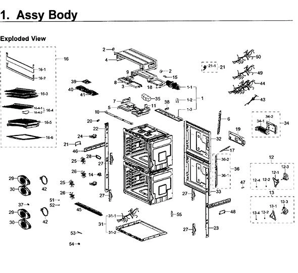 BODY