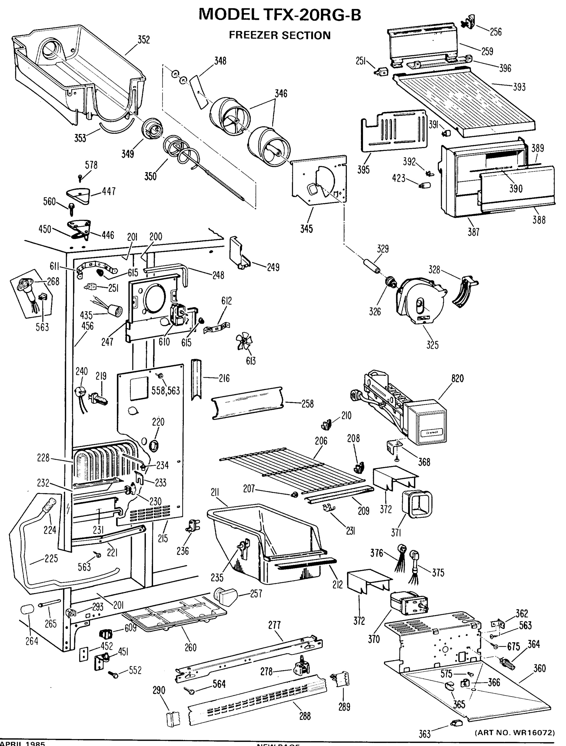 FREEZER SECTION