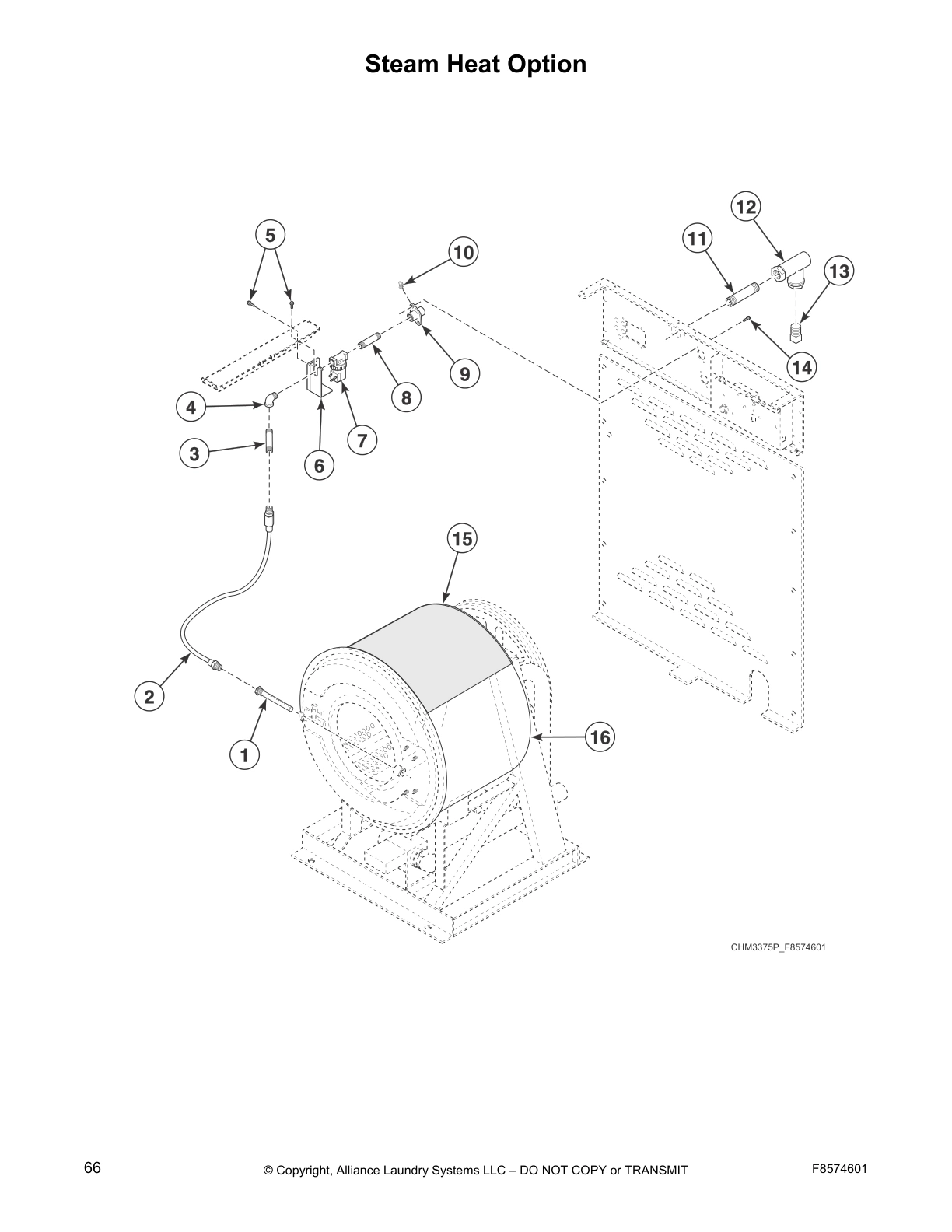 Steam Heat Option