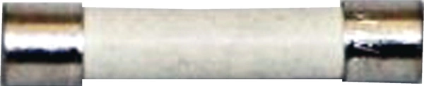 10008215 Bosch Oven Fuse