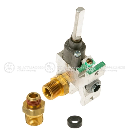 WB21X22051 GE Valve Kit