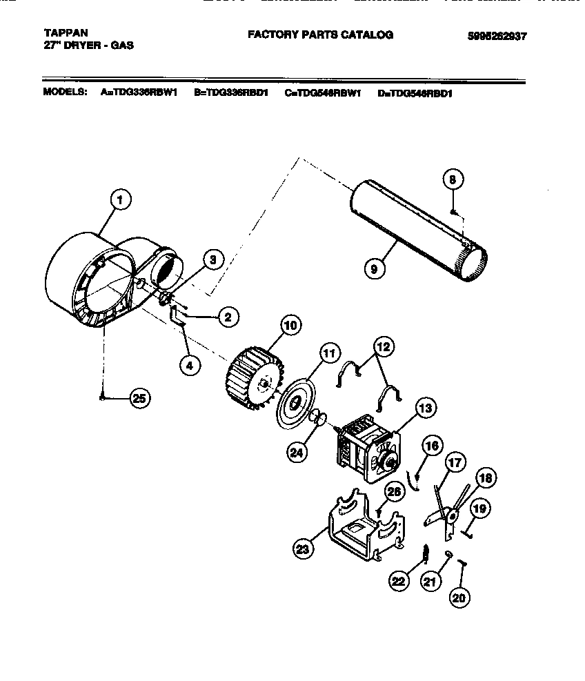 05 - MOTOR