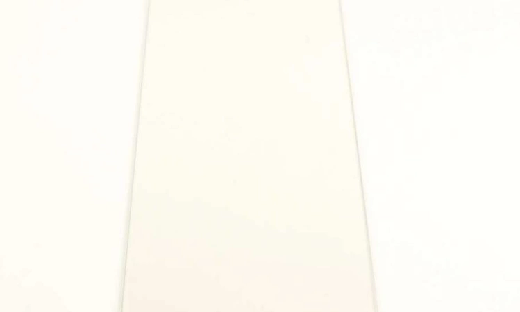 4890W1N005M LG Glass Window