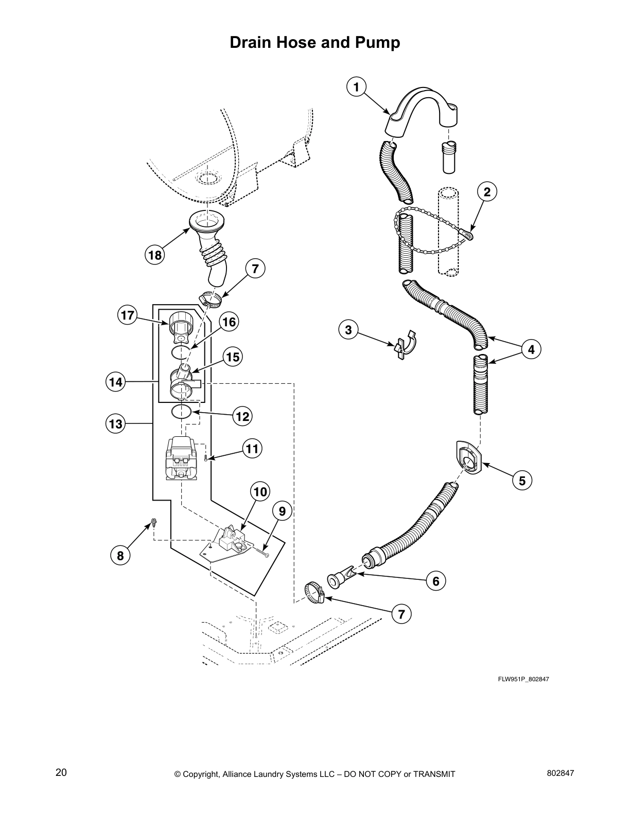 Drain Hose and Pump