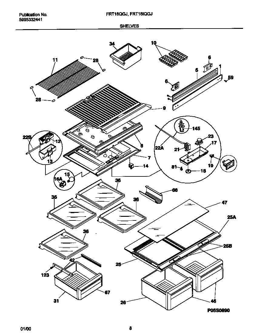 04 - SHELVES