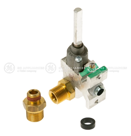 WB21X22041 GE Valve Kit