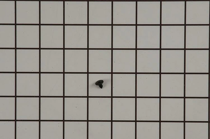 W10828565 Whirlpool Screw