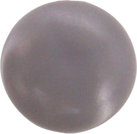 00611863 Bosch Dishwasher Cap