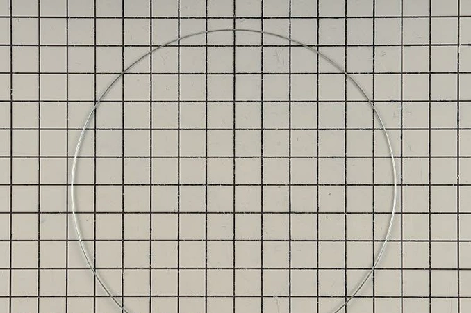 W10193044 Whirlpool Clamp