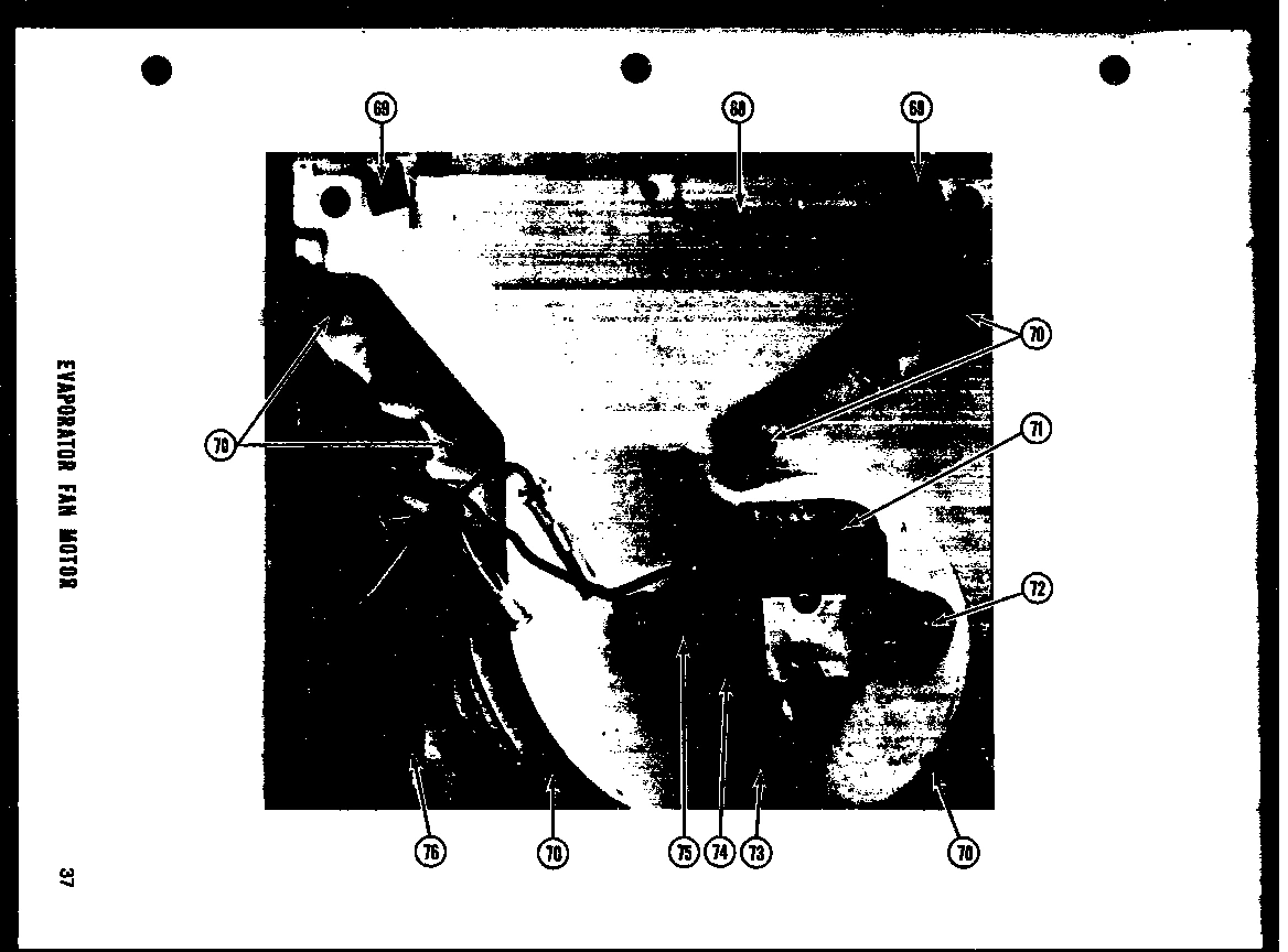 06 - EVAP FAN MOTOR