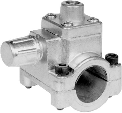 BPV34