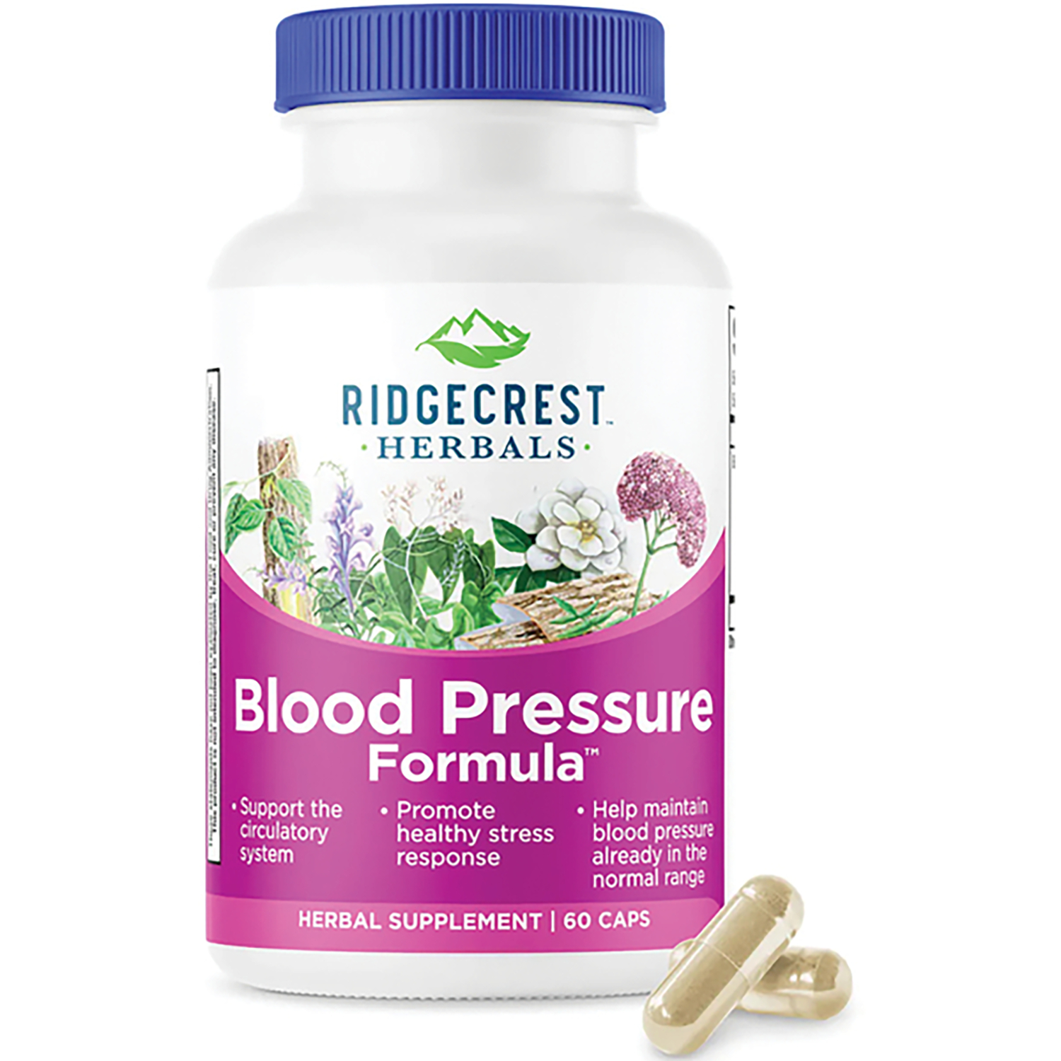 Ridgecrest Herbals Blood Pressure Formula Vitamin | 60 Caps
