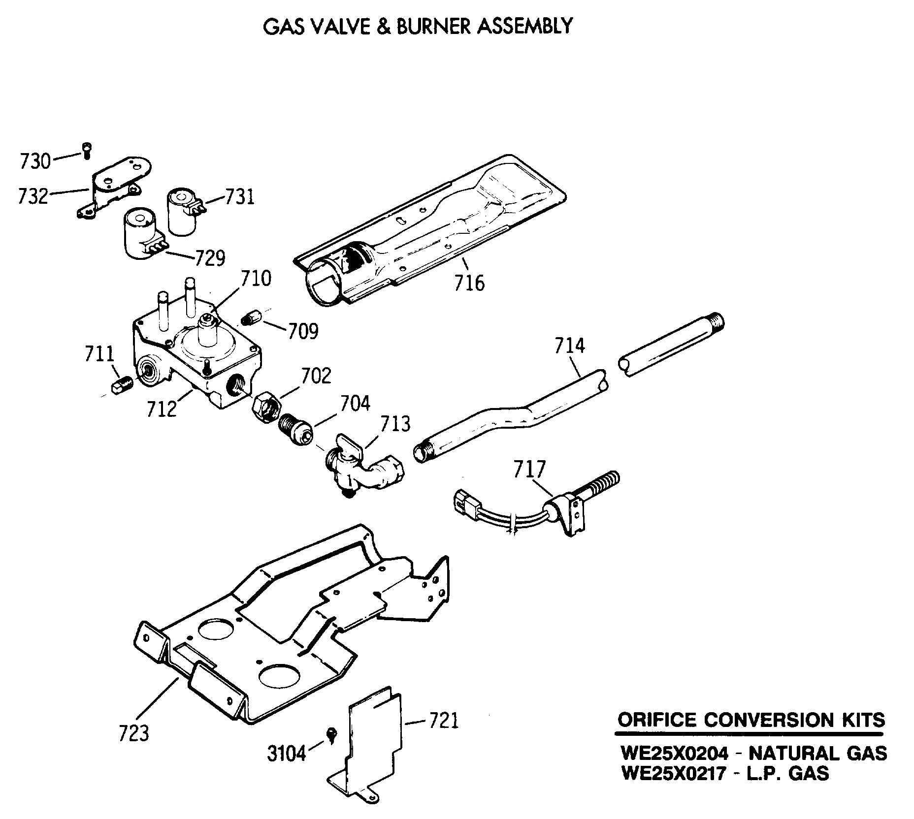 GAS VALVE & BURNER ASSEMBLY