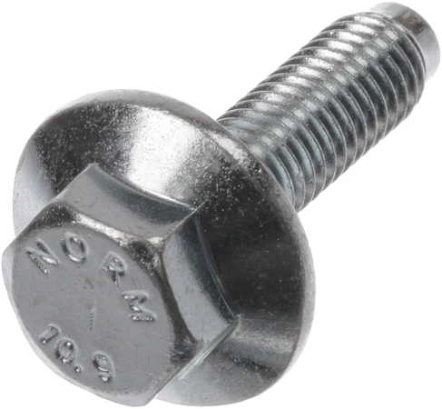 00171270 Bosch Screw