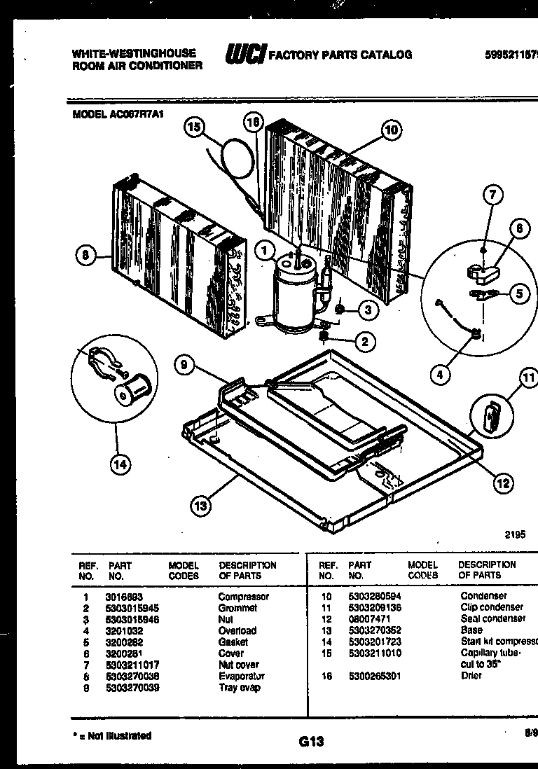 05 - BODY PARTS