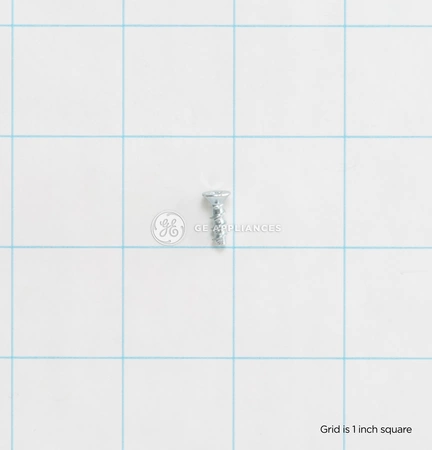 WR01X10019 GE Refrigerator Screw 1/2" PL FLP