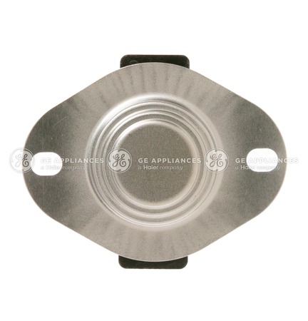 WE04X31017 GE Thermostat