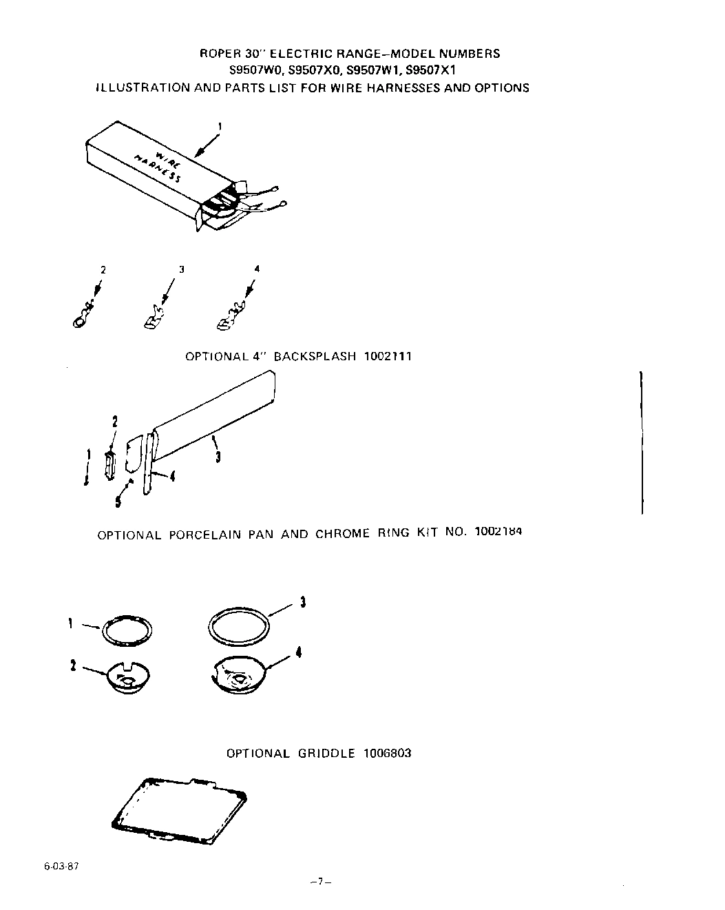 06 - WIRE HARNESS, LIT/OPTIONAL