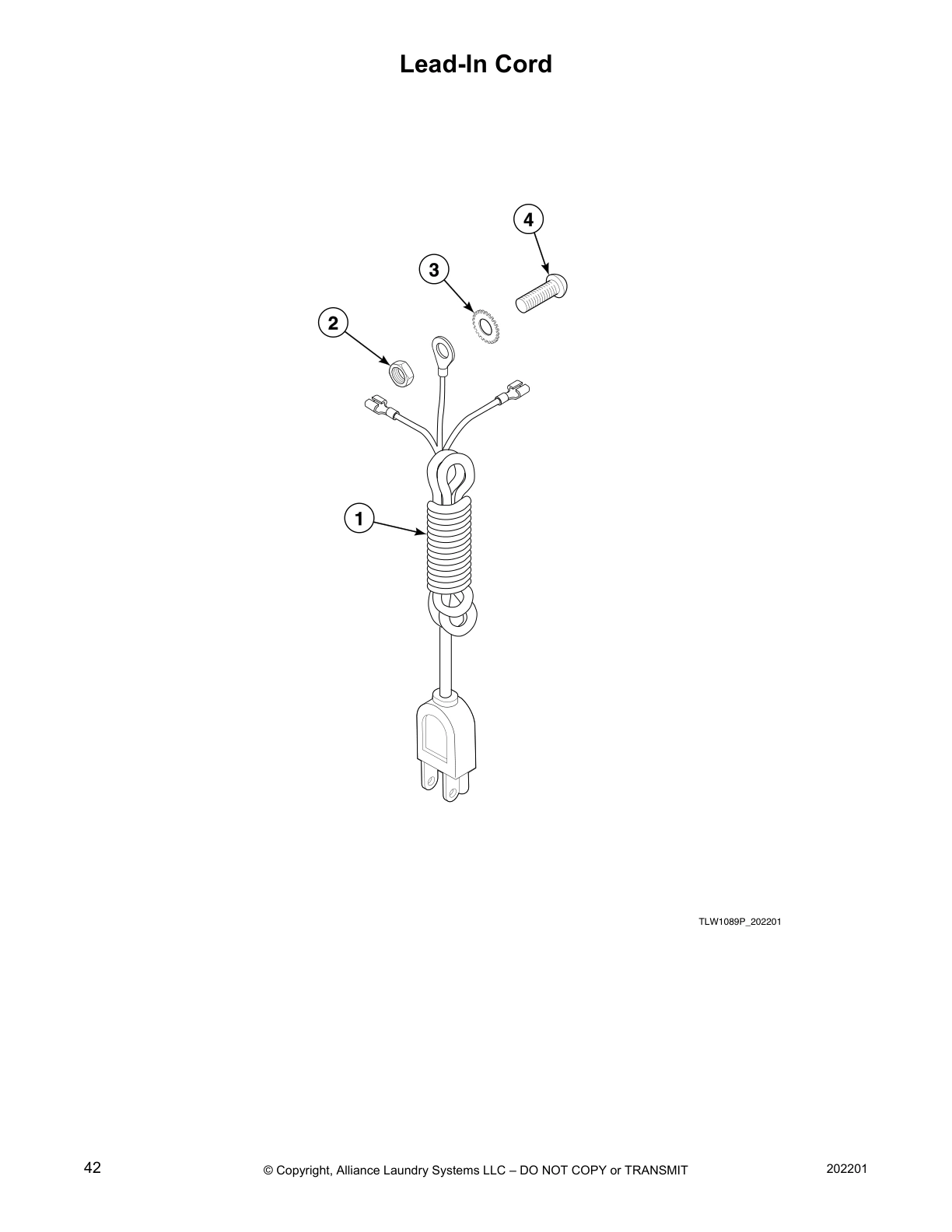 Lead-In Cord
