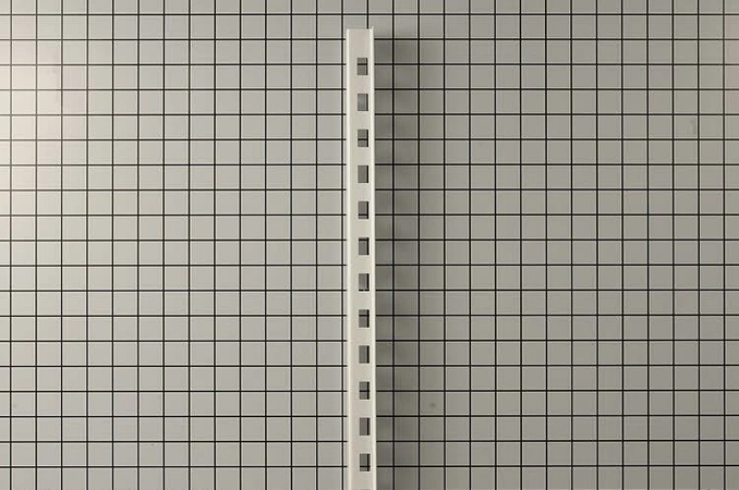 W10251969 Whirlpool Refrigerator Ladder