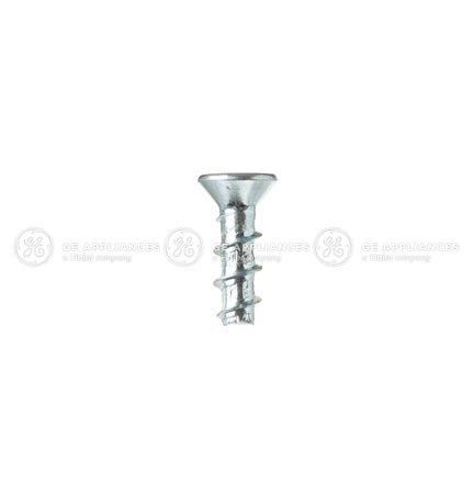 WR01X10616 GE Refrigerator Screw 6-10 PL FLP