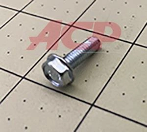 12992405 Amana Screw TR HEX