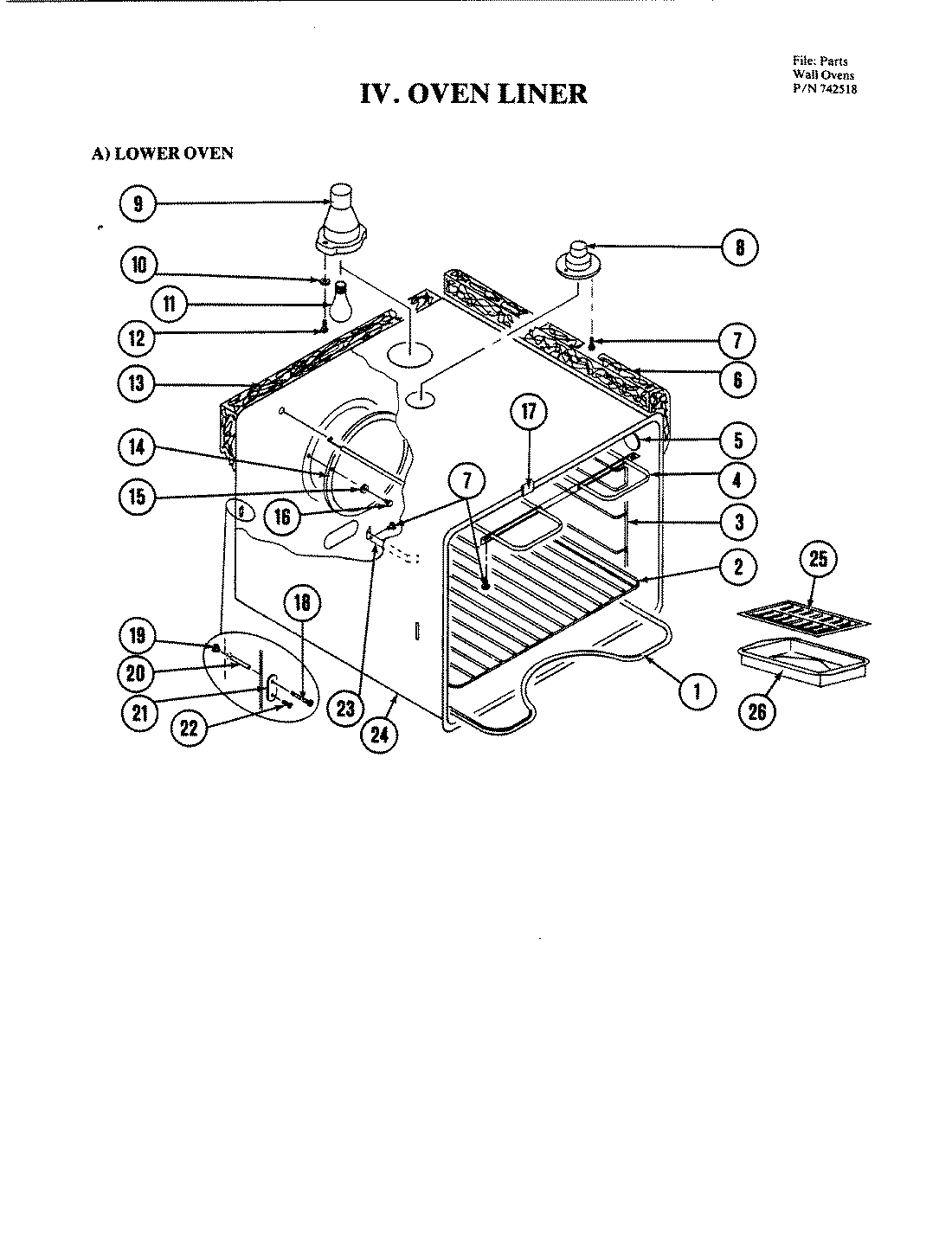 03 - BODY (LOWER)