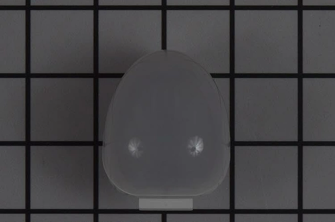 W11577968