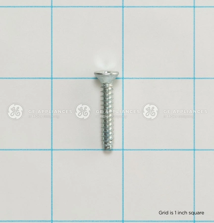 WE1M584 GE Screw 10-16 B FLQ2 1-1/8 S
