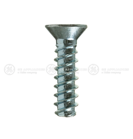 WR01X10939 GE Refrigerator 10-14 Screw Flat H