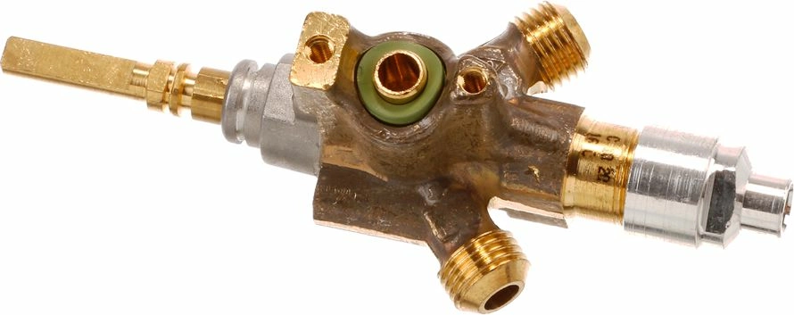 10025031 Bosch Gas Tap