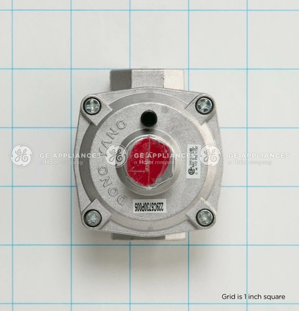 WB19T10076 GE Oven Pressure Regulator Convers