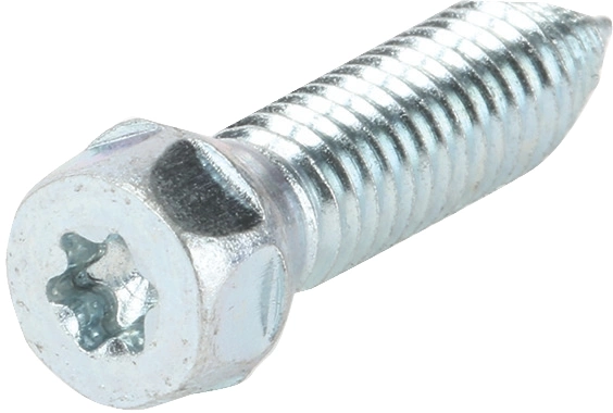 00612789 Bosch Refrigerator Screw