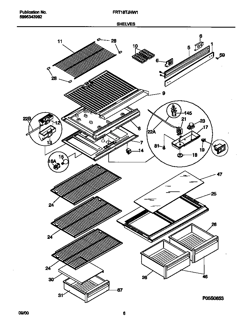 04 - SHELVES